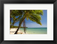 Framed Beach and palm trees, Plantation Island Resort, Mamanuca Islands, Fiji
