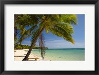 Framed Beach and palm trees, Plantation Island Resort, Mamanuca Islands, Fiji
