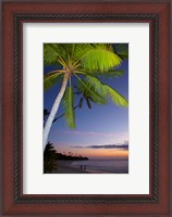 Framed Palm trees and sunset, Plantation Island Resort, Fiji