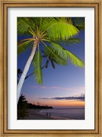 Framed Palm trees and sunset, Plantation Island Resort, Fiji