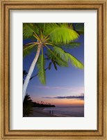 Framed Palm trees and sunset, Plantation Island Resort, Fiji