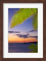 Framed Palm trees and sunset, Plantation Island Resort, Malolo Lailai Island, Mamanuca Islands, Fiji