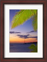 Framed Palm trees and sunset, Plantation Island Resort, Malolo Lailai Island, Mamanuca Islands, Fiji