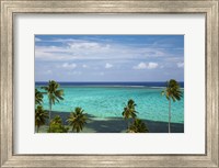 Framed Palm trees and coral reef, Crusoe's Retreat, Coral Coast, Viti Levu, Fiji