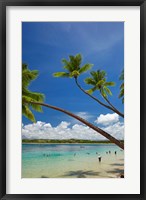 Framed Palm trees, Shangri-La Fijian Resort, Yanuca Island, Coral Coast, Viti Levu, Fiji