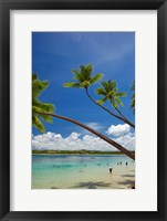Framed Palm trees, Shangri-La Fijian Resort, Yanuca Island, Coral Coast, Viti Levu, Fiji