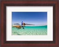 Framed Woman snorkeling, Beqa Island, Fiji