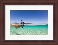 Framed Woman snorkeling, Beqa Island, Fiji