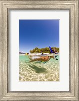 Framed Snorkeling, Beqa Island, Fiji