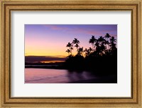 Framed Fiji Islands, Tavarua, Palm trees and sunset