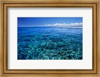 Framed Fiji Islands, Tavarua, coral reef