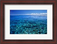 Framed Fiji Islands, Tavarua, coral reef