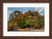 Framed Christmas Tree and Orange Skiff, Turtle Island, Yasawa Islands, Fiji