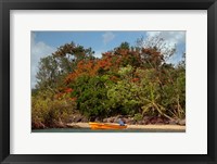 Framed Christmas Tree and Orange Skiff, Turtle Island, Yasawa Islands, Fiji