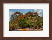 Framed Christmas Tree and Orange Skiff, Turtle Island, Yasawa Islands, Fiji