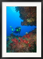 Framed Diver, Coral-lined Arc, Beqa Island, Fiji