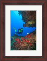 Framed Diver, Coral-lined Arc, Beqa Island, Fiji
