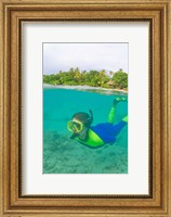 Framed Snorkeling, Picnic island, Viti Levu Fiji