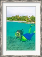 Framed Snorkeling, Picnic island, Viti Levu Fiji