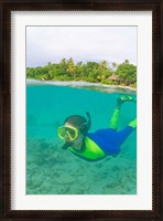 Framed Snorkeling, Picnic island, Viti Levu Fiji