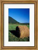 Framed Hay Bales in Litchfield Hills, Connecticut