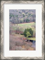 Framed Spring Forest in East Haddam, Connecticut