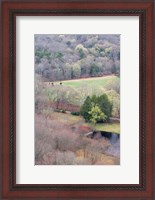 Framed Spring Forest in East Haddam, Connecticut