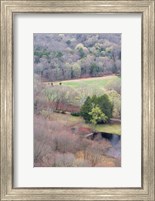 Framed Spring Forest in East Haddam, Connecticut