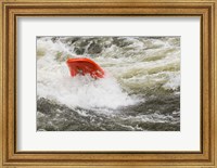 Framed Kayaking, Farmington River, Connecticut