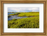 Framed Salt Marsh side of Long Beach,  Stratford, Connecticut