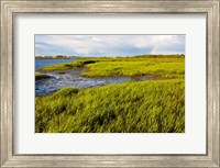 Framed Salt Marsh side of Long Beach,  Stratford, Connecticut