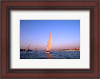 Framed Beautiful Sailboats Riding Along the Nile River, Cairo, Egypt