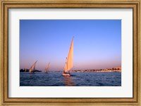 Framed Beautiful Sailboats Riding Along the Nile River, Cairo, Egypt
