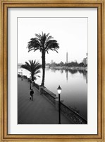 Framed View of the Nile River, Cairo, Egypt