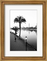 Framed View of the Nile River, Cairo, Egypt