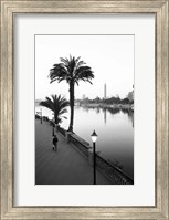 Framed View of the Nile River, Cairo, Egypt