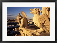 Framed Gargoyles of the Notre Dame Cathedral, Paris, France