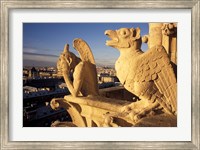 Framed Gargoyles of the Notre Dame Cathedral, Paris, France