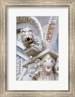Framed Gargoyle of Duomo Pisa, Pisa, Italy