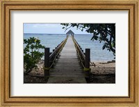 Framed Long wooden pier, Coral Coast, Viti Levu, Fiji, South Pacific