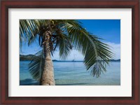 Framed Palm tree over clear waters around Nanuya Lailai Island, Blue Lagoon, Yasawa, Fiji, South Pacific