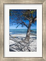 Framed Hammock on the beach of a resort, Nacula Island, Yasawa, Fiji, South Pacific