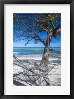 Framed Hammock on the beach of a resort, Nacula Island, Yasawa, Fiji, South Pacific