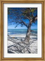 Framed Hammock on the beach of a resort, Nacula Island, Yasawa, Fiji, South Pacific