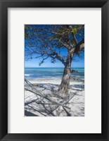 Framed Hammock on the beach of a resort, Nacula Island, Yasawa, Fiji, South Pacific