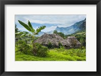 Framed Traditional thatched roofed huts in Navala, Fiji
