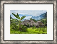 Framed Traditional thatched roofed huts in Navala, Fiji