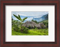 Framed Traditional thatched roofed huts in Navala, Fiji