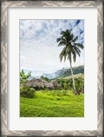 Framed Traditional thatched roofed huts in Navala in the Ba Highlands of Viti Levu, Fiji, South Pacific