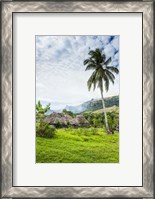 Framed Traditional thatched roofed huts in Navala in the Ba Highlands of Viti Levu, Fiji, South Pacific